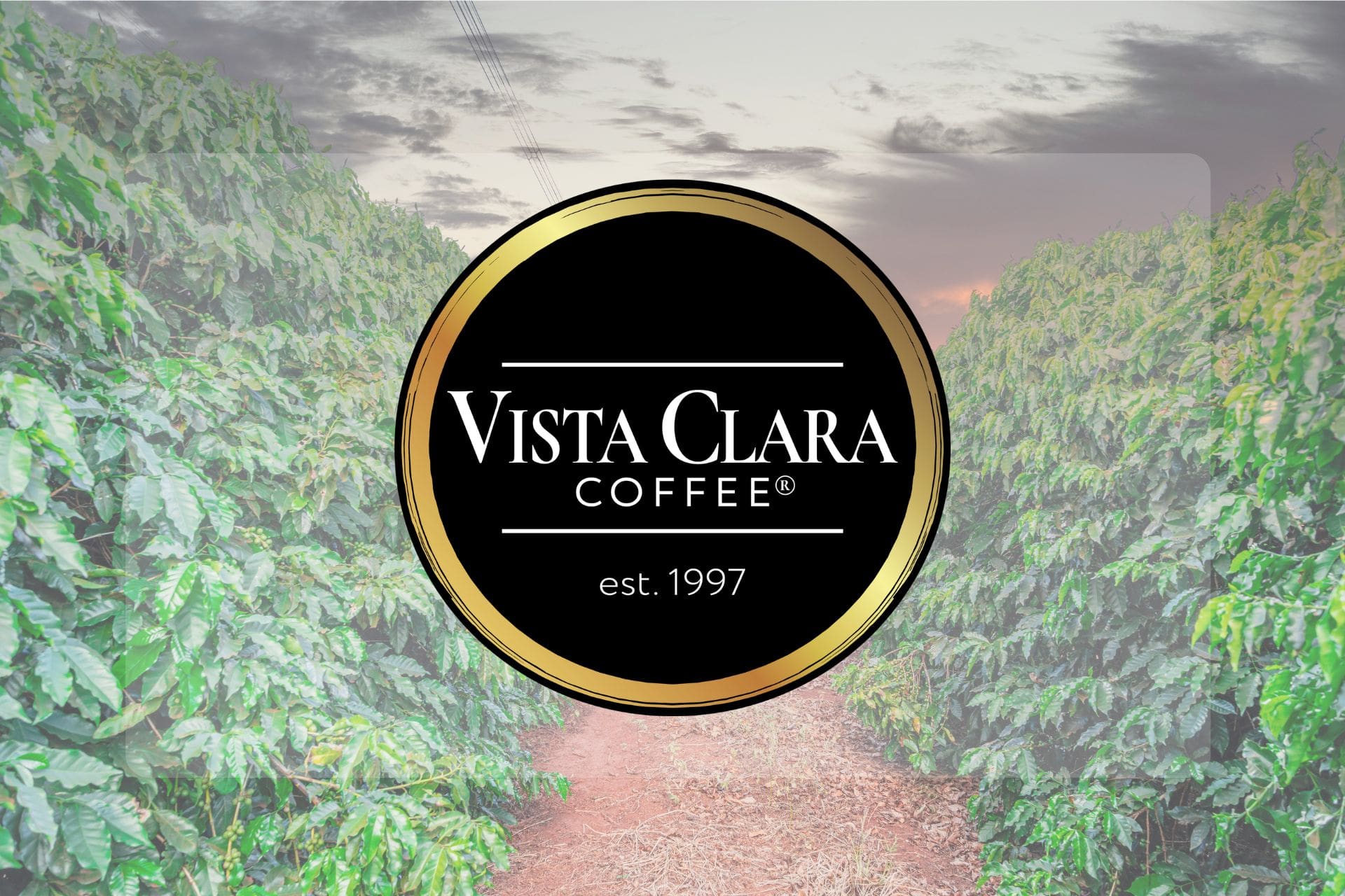 Your Privacy Choices – Vista Clara Coffee